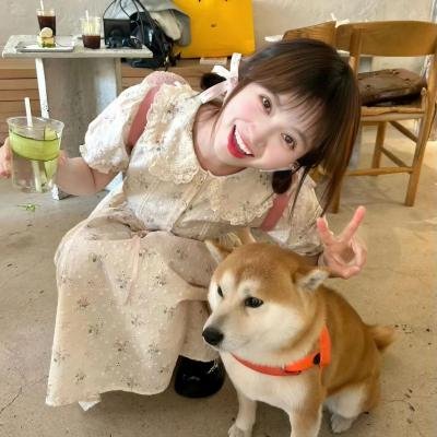 大学任你行